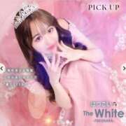 ヒメ日記 2025/11/02 16:01 投稿 はつこい The White