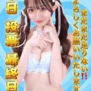 ヒメ日記 2025/11/03 15:01 投稿 はつこい The White