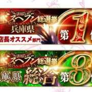 ヒメ日記 2025/11/12 14:40 投稿 はつこい The White