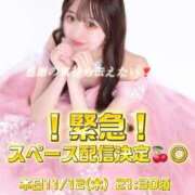 ヒメ日記 2025/11/12 14:49 投稿 はつこい The White