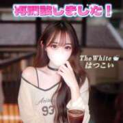 ヒメ日記 2025/11/13 15:02 投稿 はつこい The White