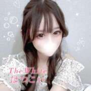 ヒメ日記 2025/11/20 08:01 投稿 はつこい The White