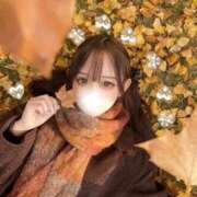 ヒメ日記 2025/11/21 06:00 投稿 はつこい The White