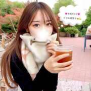 ヒメ日記 2025/11/21 12:02 投稿 はつこい The White