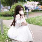ヒメ日記 2025/11/22 15:00 投稿 はつこい The White