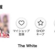 ヒメ日記 2025/11/22 16:00 投稿 はつこい The White