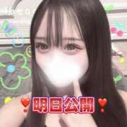 ヒメ日記 2025/11/22 21:01 投稿 はつこい The White