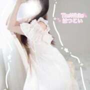 ヒメ日記 2025/11/24 10:00 投稿 はつこい The White