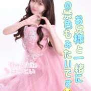 ヒメ日記 2025/11/24 18:00 投稿 はつこい The White