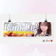 ヒメ日記 2025/12/02 06:30 投稿 はつこい The White