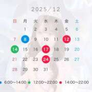 ヒメ日記 2025/12/02 19:01 投稿 はつこい The White