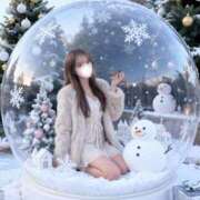 ヒメ日記 2025/12/15 02:24 投稿 はつこい The White