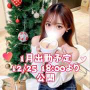 ヒメ日記 2025/12/25 07:36 投稿 はつこい The White