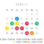 ヒメ日記 2025/12/25 18:01 投稿 はつこい The White