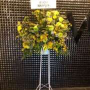 ヒメ日記 2025/12/31 23:46 投稿 はつこい The White