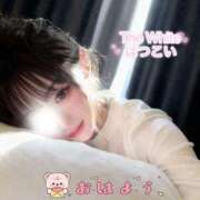 ヒメ日記 2026/02/05 08:05 投稿 はつこい The White