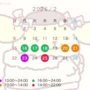 ヒメ日記 2026/02/09 12:02 投稿 はつこい The White