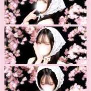 ヒメ日記 2026/03/25 09:34 投稿 はつこい The White