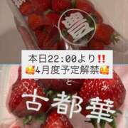 ヒメ日記 2026/03/29 21:03 投稿 はつこい The White