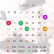ヒメ日記 2026/03/29 22:02 投稿 はつこい The White