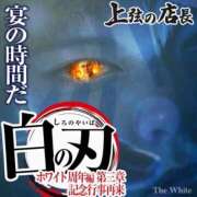 ヒメ日記 2026/04/02 20:40 投稿 はつこい The White
