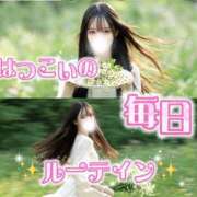 ヒメ日記 2026/04/03 06:15 投稿 はつこい The White