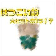 ヒメ日記 2026/04/05 16:02 投稿 はつこい The White