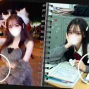 ヒメ日記 2026/04/06 17:45 投稿 はつこい The White