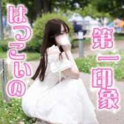 ヒメ日記 2026/04/07 14:50 投稿 はつこい The White