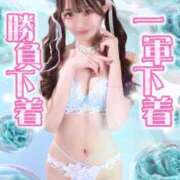 ヒメ日記 2026/04/09 17:19 投稿 はつこい The White