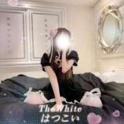 ヒメ日記 2026/04/10 00:33 投稿 はつこい The White