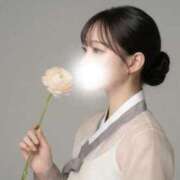 ヒメ日記 2026/04/12 03:11 投稿 はつこい The White