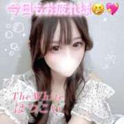 ヒメ日記 2026/04/16 04:05 投稿 はつこい The White