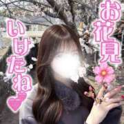 ヒメ日記 2026/04/19 00:23 投稿 はつこい The White