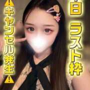 はつこい ⚠️本日 ラスト枠 キャンセル発生⚠️ The White