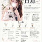 ヒメ日記 2026/09/16 06:04 投稿 はつこい The White（ザ ホワイト）