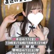 ヒメ日記 2025/04/11 12:05 投稿 みくる TOKYO BUNNYS CLUB