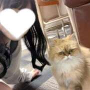 ヒメ日記 2025/04/24 17:03 投稿 みくる TOKYO BUNNYS CLUB