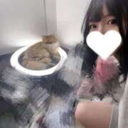 ヒメ日記 2025/04/28 13:53 投稿 みくる TOKYO BUNNYS CLUB