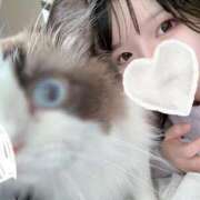 ヒメ日記 2025/10/21 01:58 投稿 みくる TOKYO BUNNYS CLUB