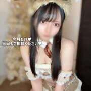 みくる 🤍限定メニューのご案内🤍 TOKYO BUNNYS CLUB