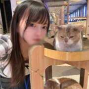 ヒメ日記 2025/12/26 00:53 投稿 みくる TOKYO BUNNYS CLUB