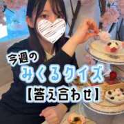 ヒメ日記 2026/04/10 23:12 投稿 みくる TOKYO BUNNYS CLUB