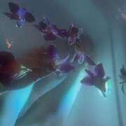 ヒメ日記 2026/02/28 01:00 投稿 もえ すごいエステ仙台店