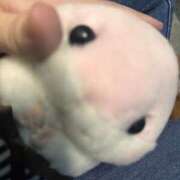 ヒメ日記 2025/06/14 15:24 投稿 神田いずみ 手コキ研修塾