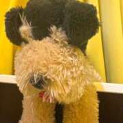 ヒメ日記 2025/06/29 16:54 投稿 神田いずみ 手コキ研修塾