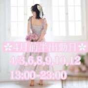 ヒメ日記 2025/04/01 20:24 投稿 Rico THE MUSE