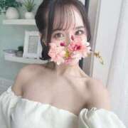 ヒメ日記 2025/06/17 08:54 投稿 Rico THE MUSE