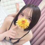 ヒメ日記 2025/06/26 23:14 投稿 Rico THE MUSE