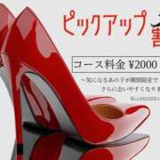 ヒメ日記 2025/07/31 18:02 投稿 ここ サンキュー沼津店（サンキューグループ）